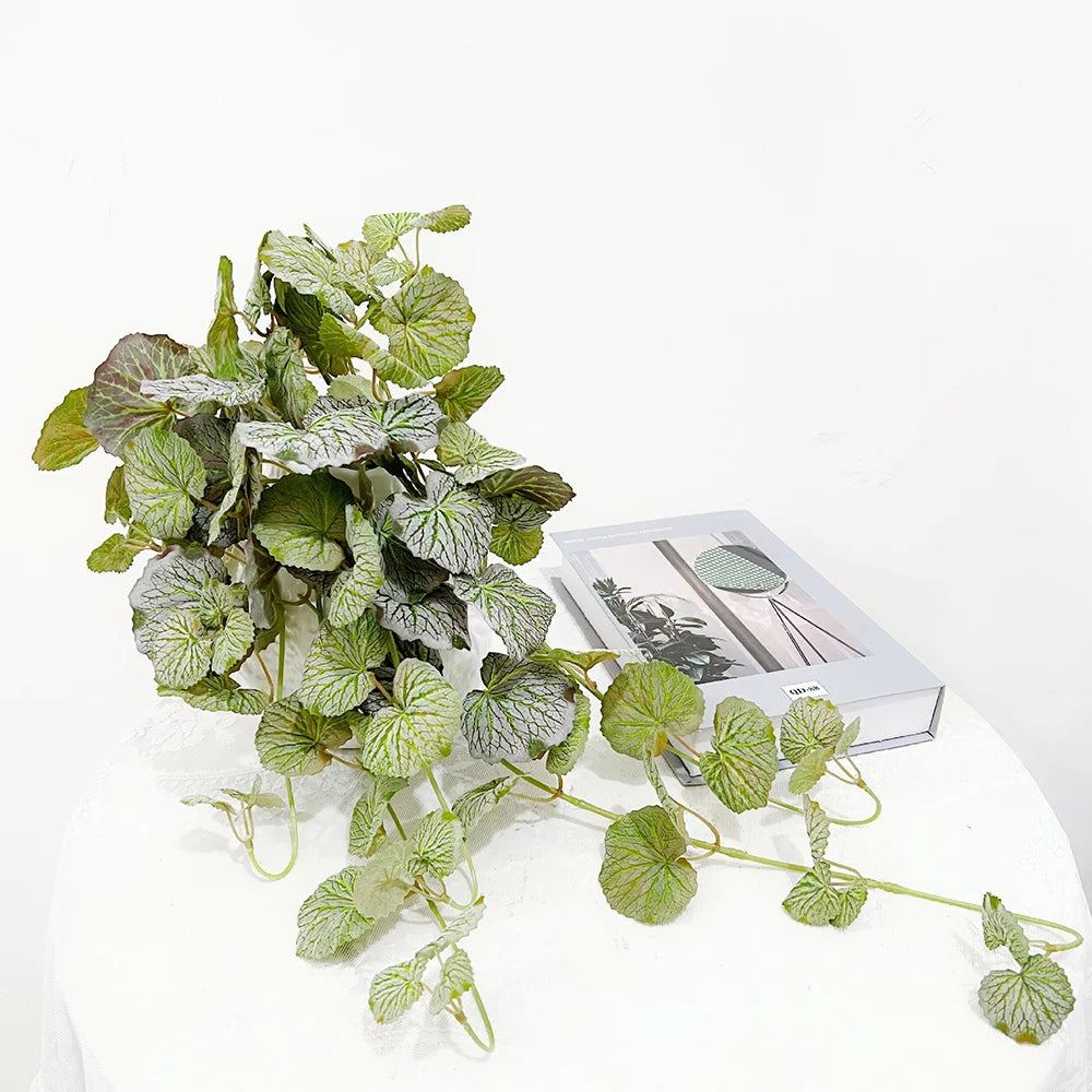 Sedum gracile - Succulente tombante artificielle